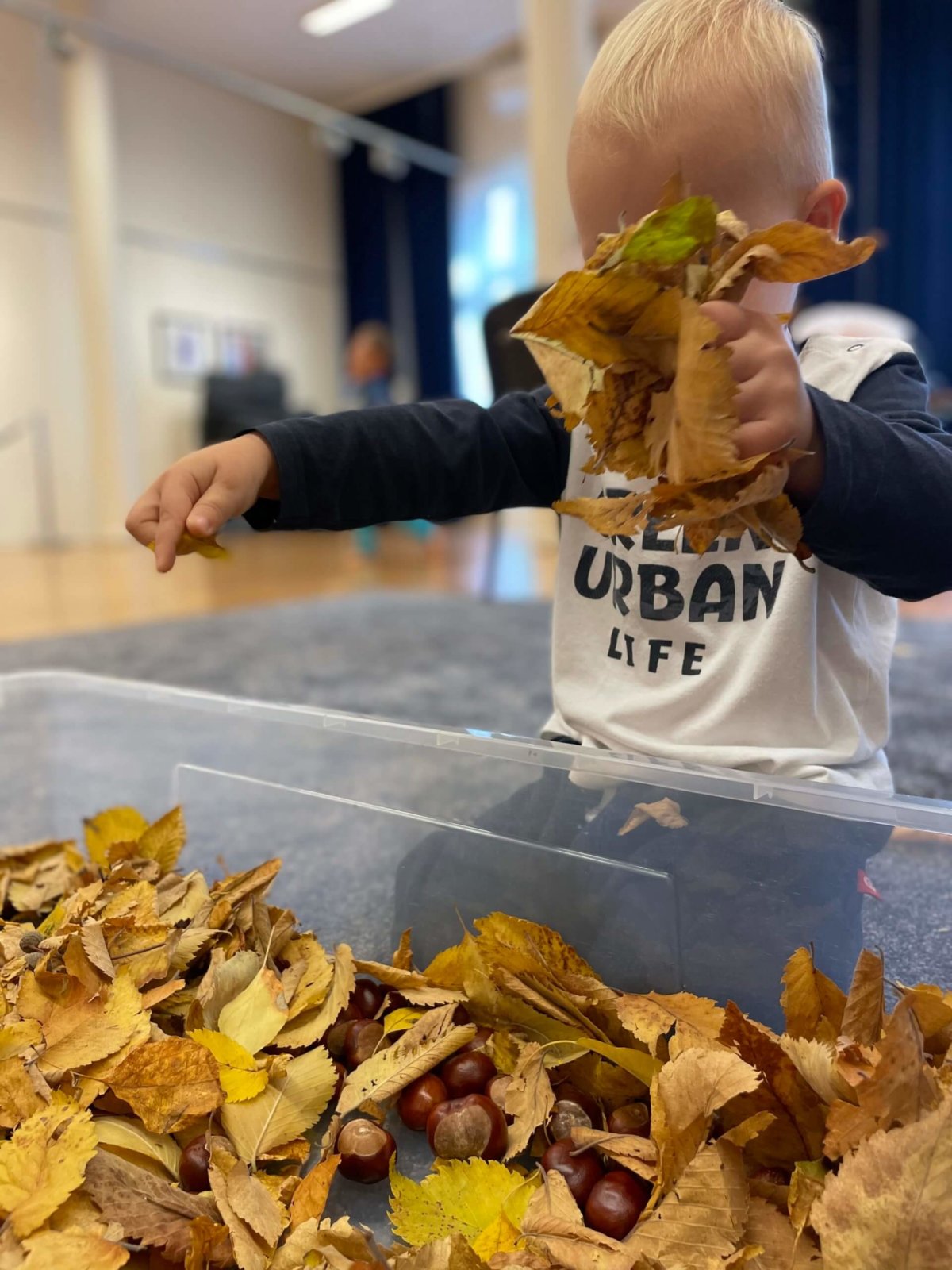 dziecko trzyma w dłoni garść jesiennych liści